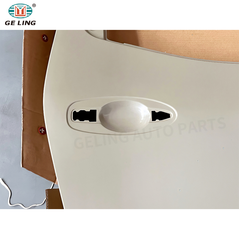 Nissan 2021 Rear Door