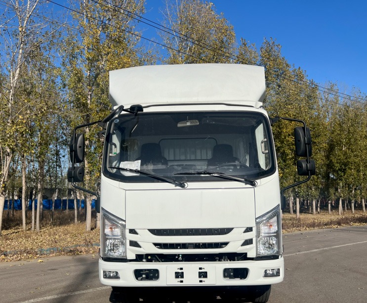 Camion isuzu