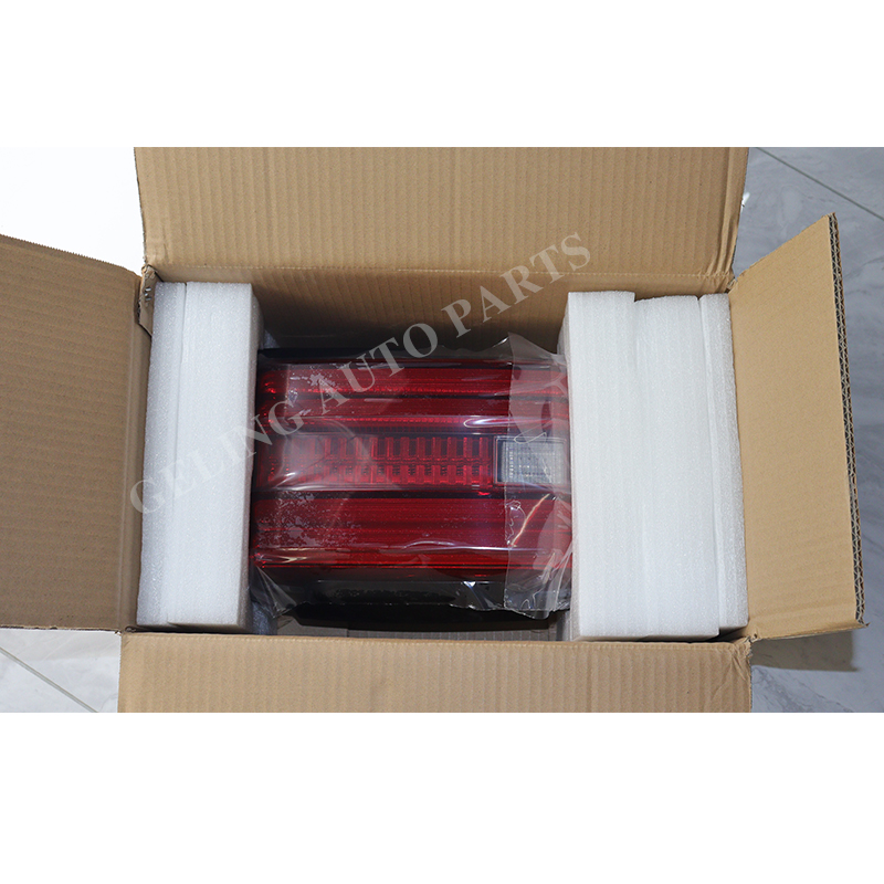 Tank 300 Tail Lamp Package